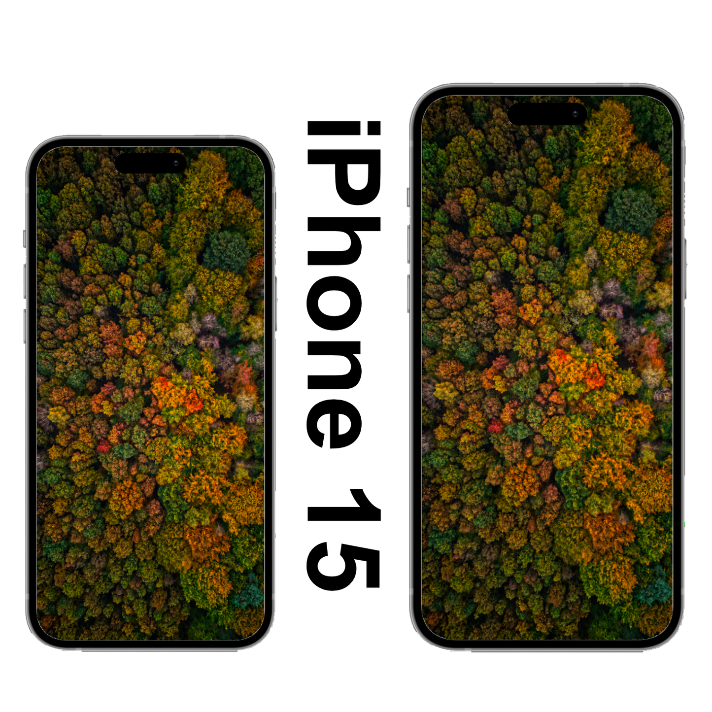 Wildenloh Herbst Wallpaper iPhone