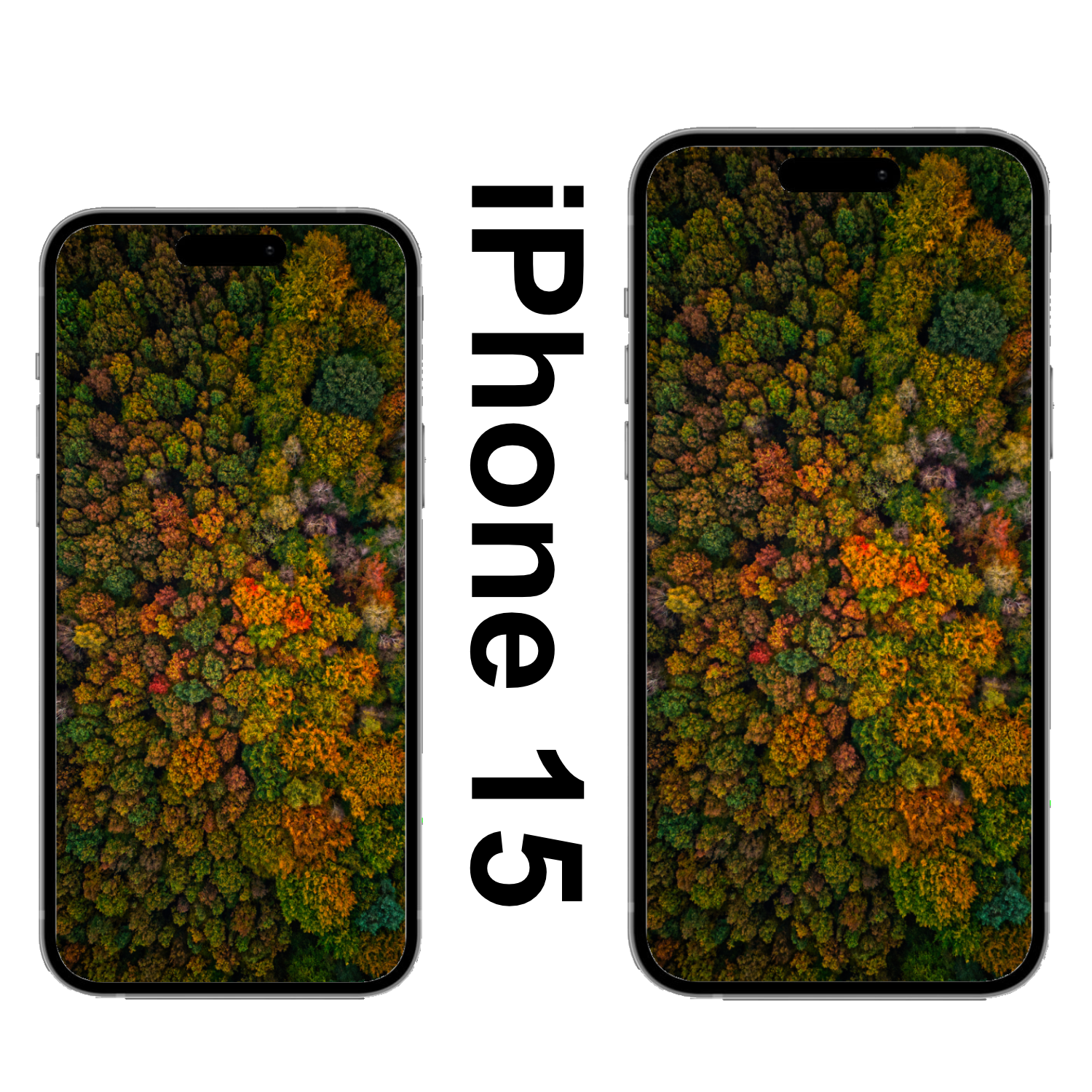 Wildenloh Herbst Wallpaper iPhone