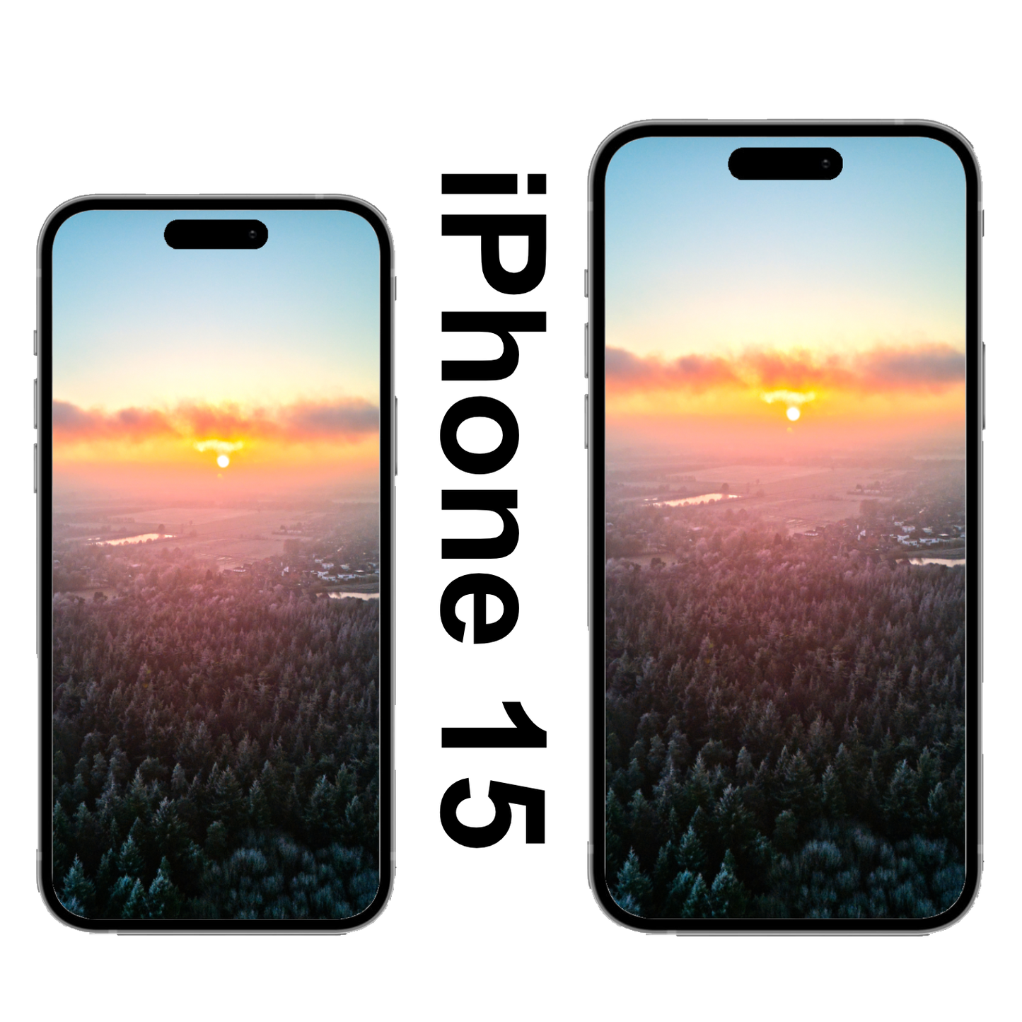 Wildenloh Sonnenaufgang im Schnee Wallpaper iPhone