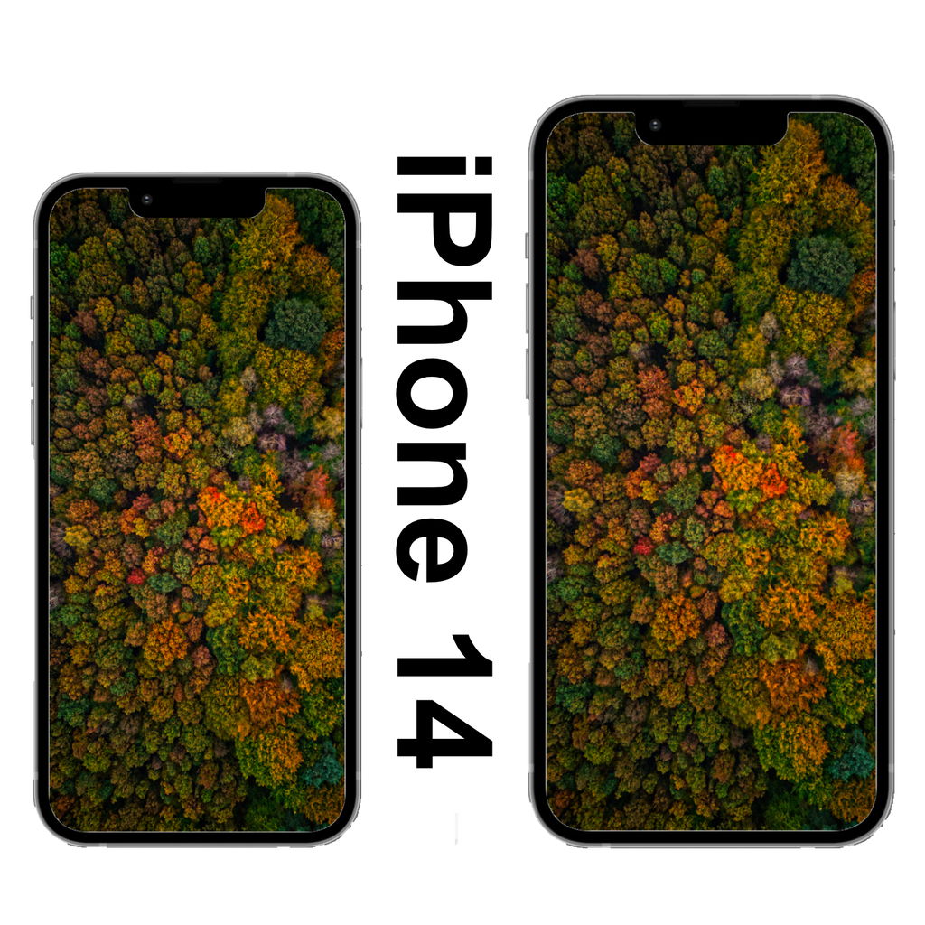 Wildenloh Herbst Wallpaper iPhone