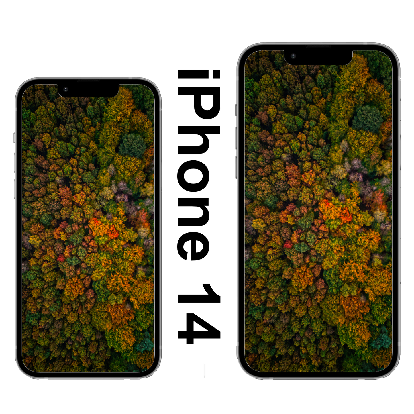 Wildenloh Herbst Wallpaper iPhone