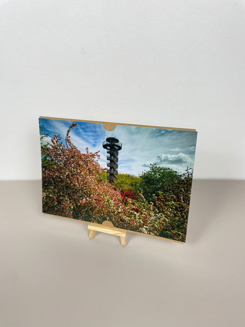 Aussichtsturm Frühling Zierapfel Nah Park der Gärten