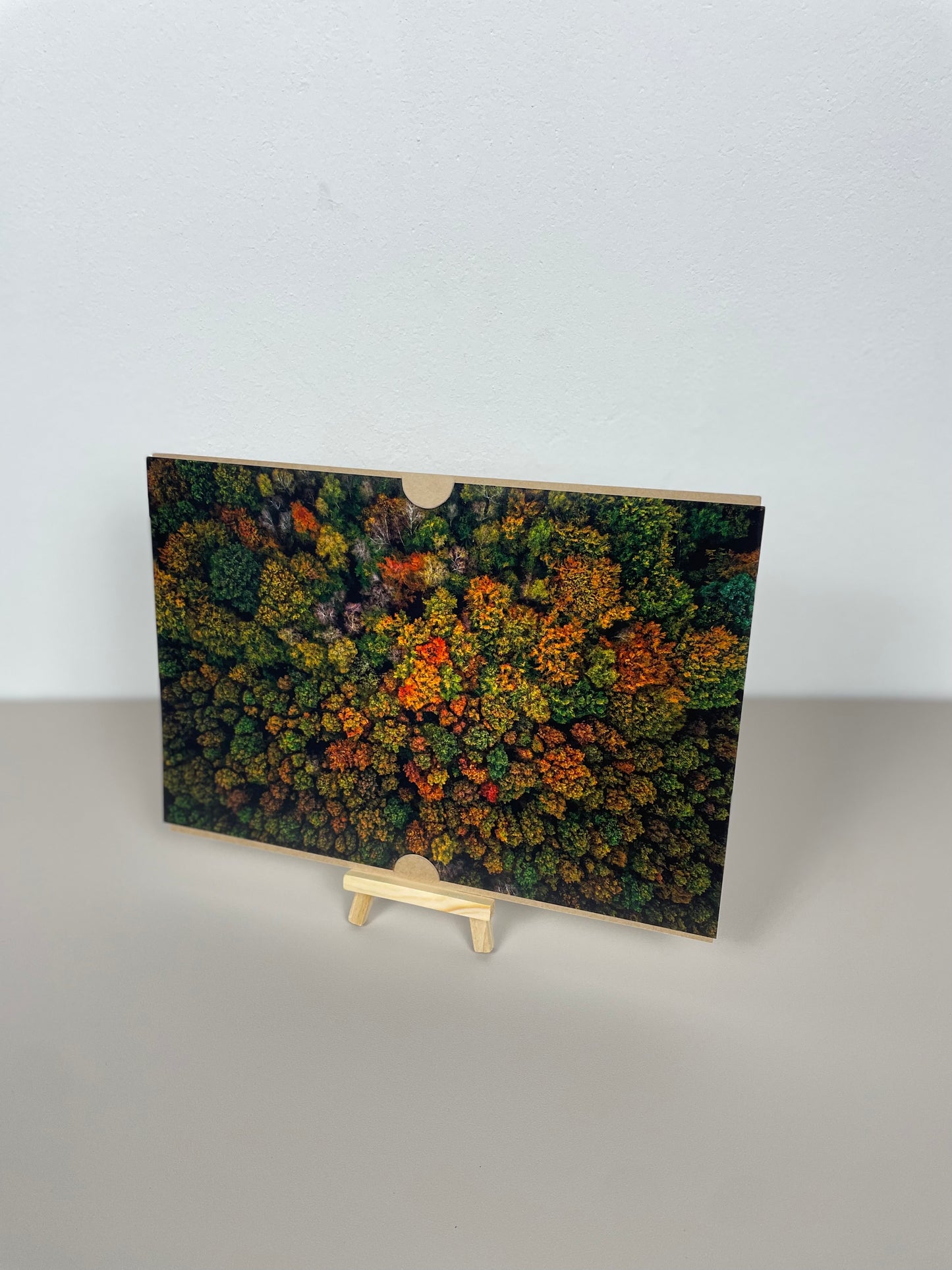 Herbst im Wildenloh